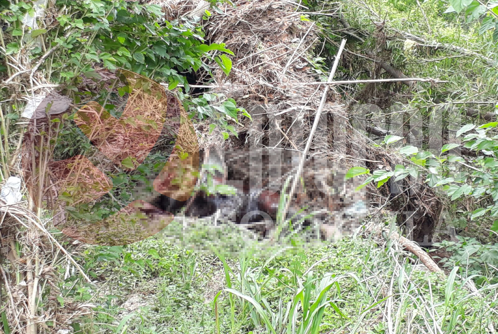 Acuñense hallado en el Fifi murió ahogado