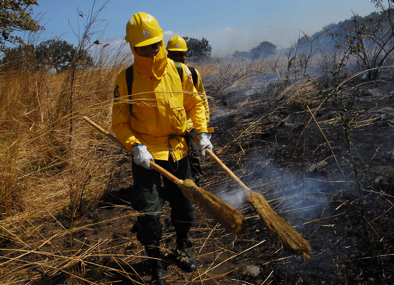 Donan herramientas a brigadas para combatir incendios forestales