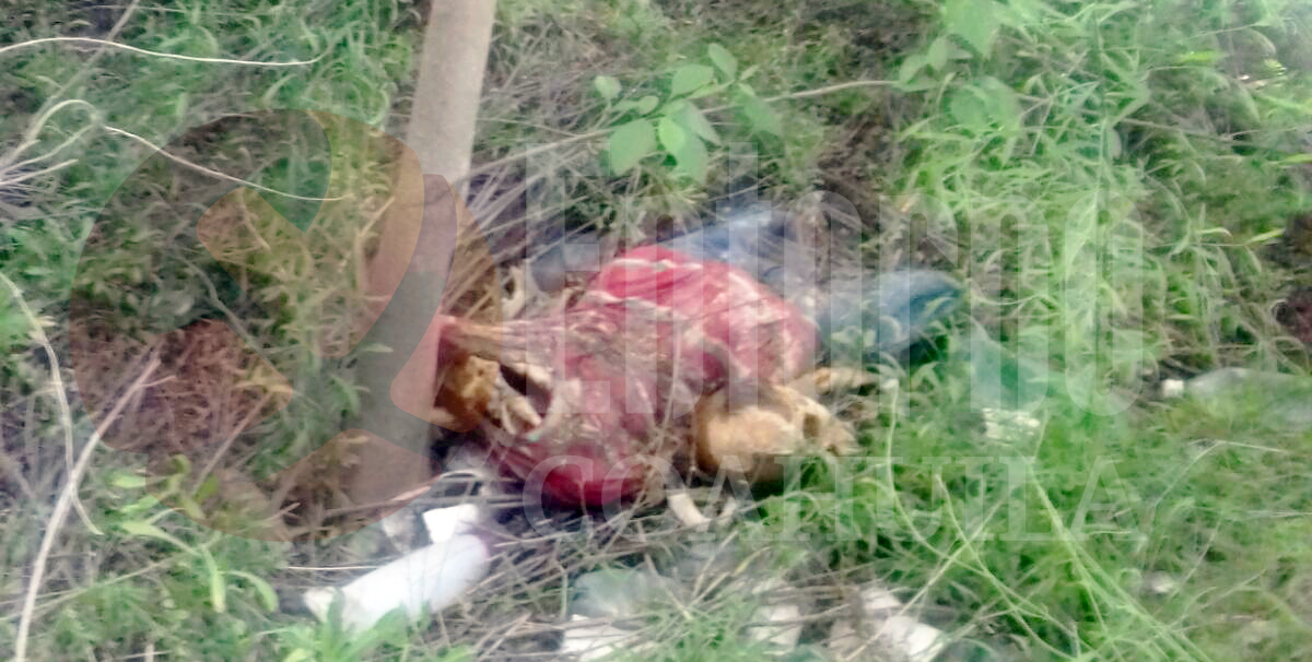 Encuentran muerto en Río Sabinas