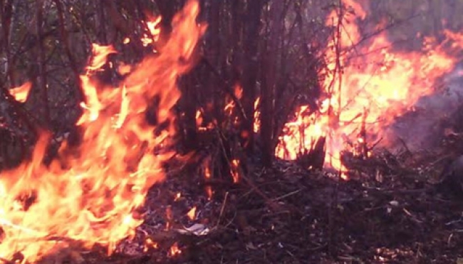 Fallece brigadista que combatió incendio forestal en Jalisco