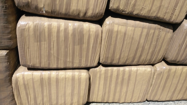 Federales decomisan más de dos toneladas de mariguana en Zacatecas