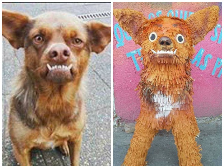 Mexicanos crean piñata del perro chileno ‘chilaquil’