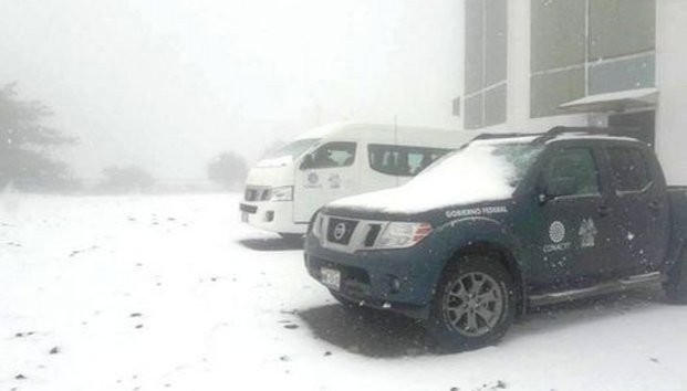 En plena primavera, reportan caída de nieve en Sonora