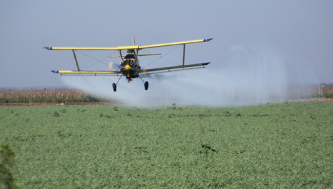 Colombia considera imposible fumigación aérea de coca como plantea EUA