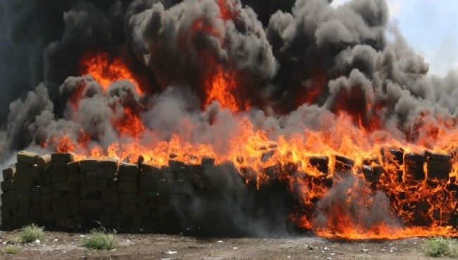 Incineran en Tamaulipas más de tres toneladas de narcóticos