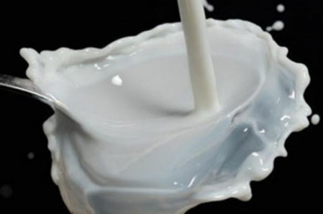 Explotan a miles de mexicanos en granjas lecheras de Nueva York