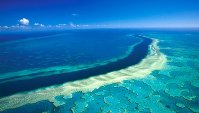 Océanos, pilares de la vida que se encuentran en riesgo