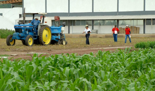 Se comprometen EUA, México y Canadá a mejorar competitividad agrícola