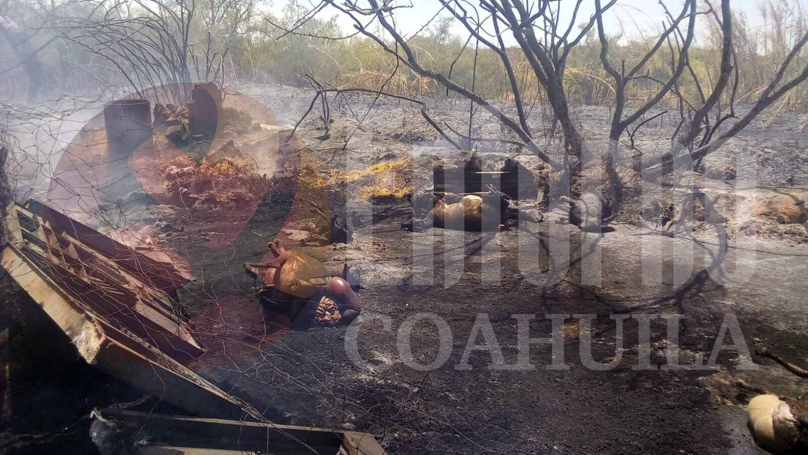 Consume incendio patrimonio de ejidatario en Saltillo