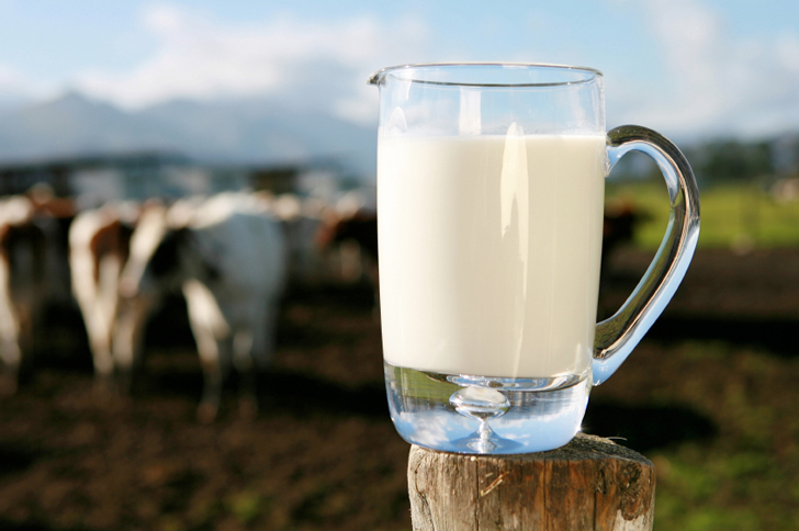 Hoy es el Día Internacional de la Leche