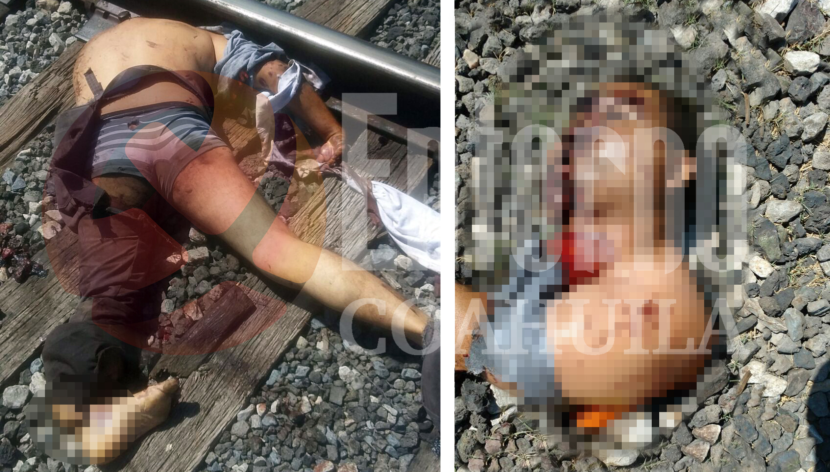 Mutila tren a sanpetrino en Francisco I. Madero