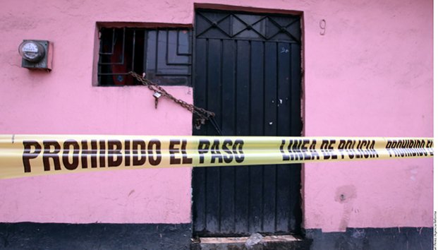 Devoraba perro a su dueña muerta