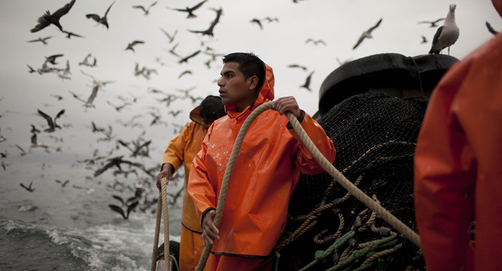 Pescadores capturan raro animal con dos cabezas
