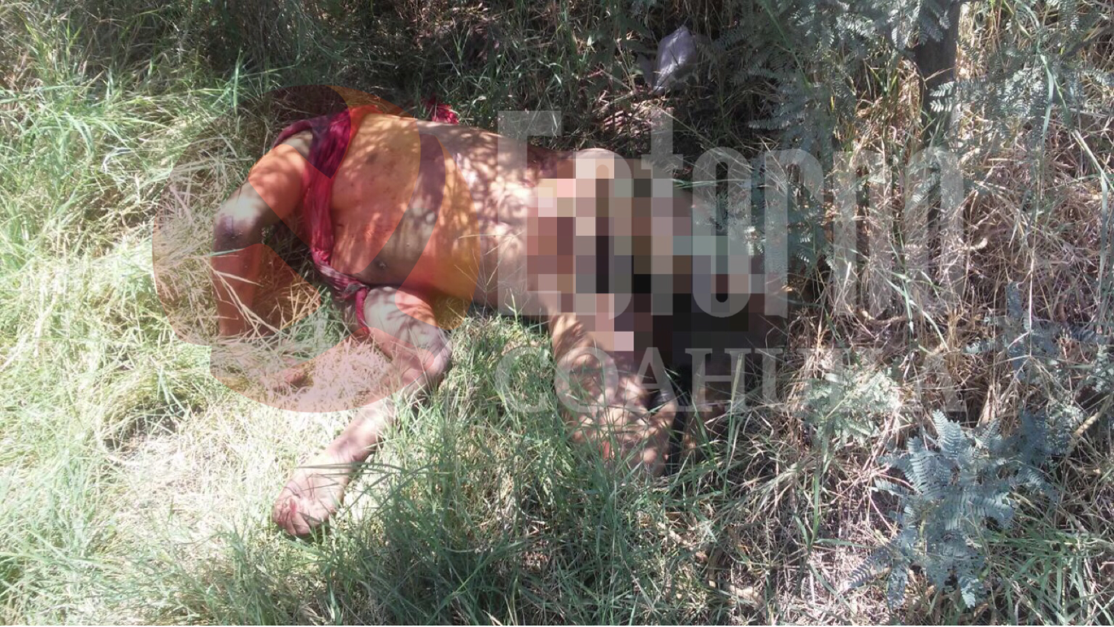 Hallan cadáver en parcela en Torreón, habría muerto violentamente