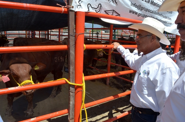 México está libre de Fiebre Aftosa, destaca organización ganadera