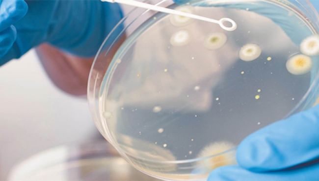 Premian a mexicanas por sus investigaciones sobresalientes en microbiología