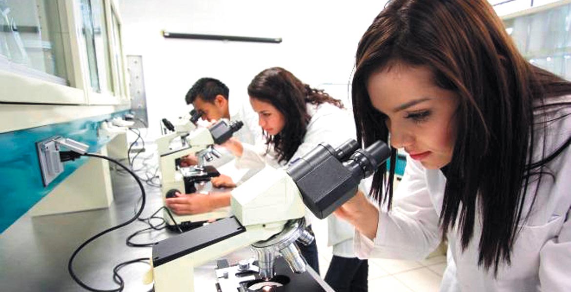 Cuatro de cada 10 profesionistas no saldrán de vacaciones: OCCMundial