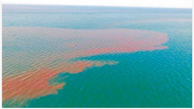 80 km de desechos fecales manchan Los Cabos