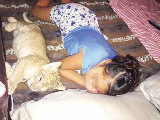 Consiguió león por $40 mil