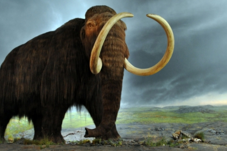 Fundador de PayPal invierte para revivir un mamut