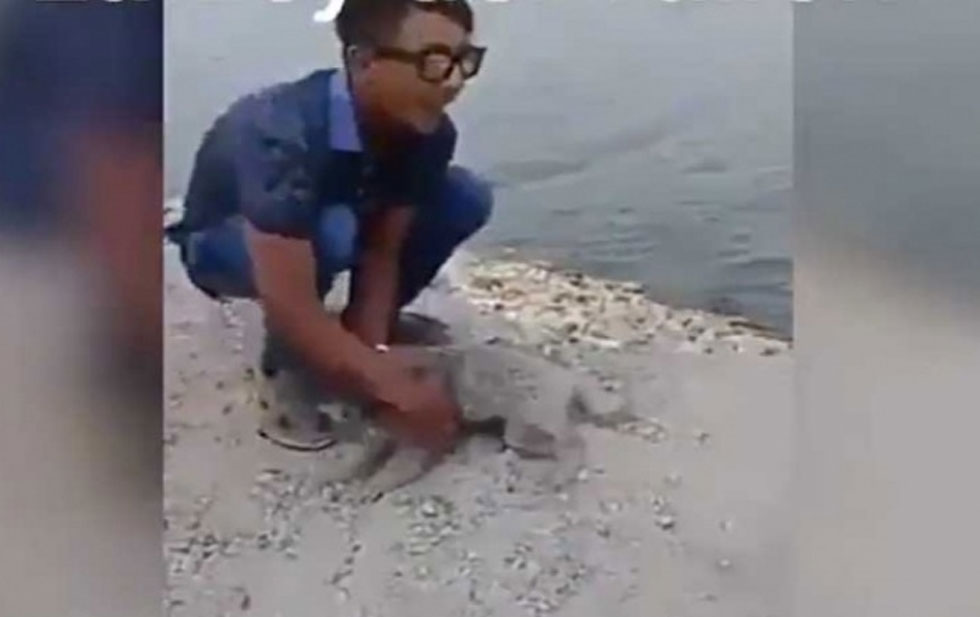 VIDEO: Niño lanza a un perrito al río y testigos lo avientan a él