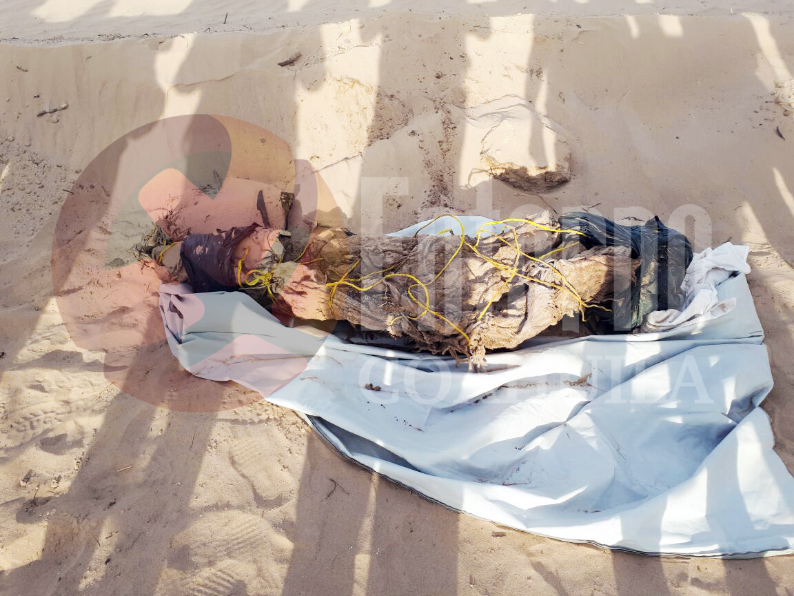 Hallan osamenta en parque solar de Viesca