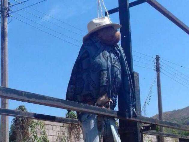 Matan a perros para simular ejecuciones de personas en Nayarit