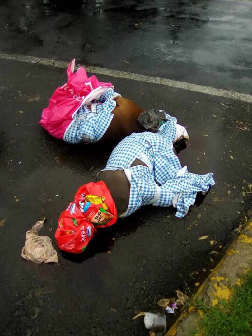 Torturan y ejecutan al estilo ‘narco’ a 2 pitbulls en Coyoacán