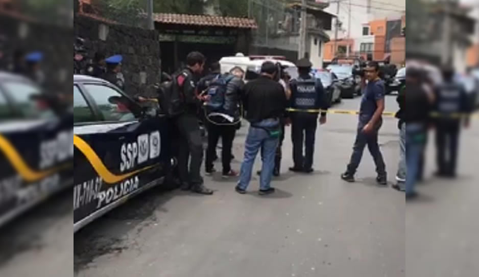 Pitbulls asesinan a menor de 3 años en CDMX