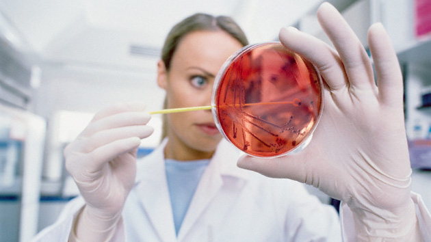 Japón alerta sobre brote de virus mortal