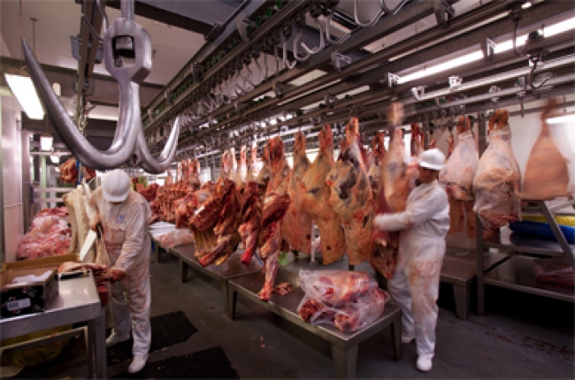 Industria de la carne en EUA contamina Golfo de México: ecologistas