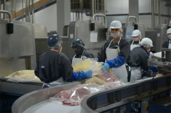 La carne de cerdo no es dañina; tiene propiedades nutricionales