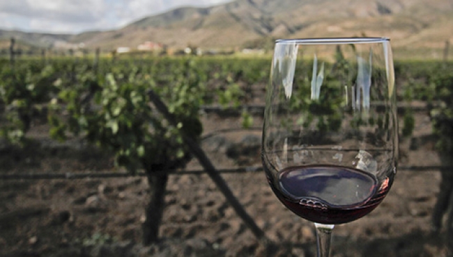 Francia adelanta vendimias por efecto de cambio climático