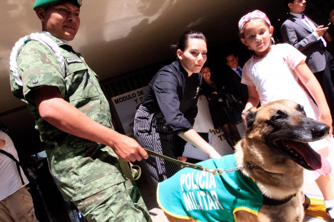 Fuerzas Armadas fomentarán convivencia familiar el próximo domingo