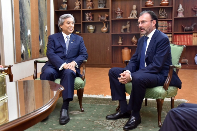 México y Japón, unidos por relaciones comerciales y de inversión: Videgaray