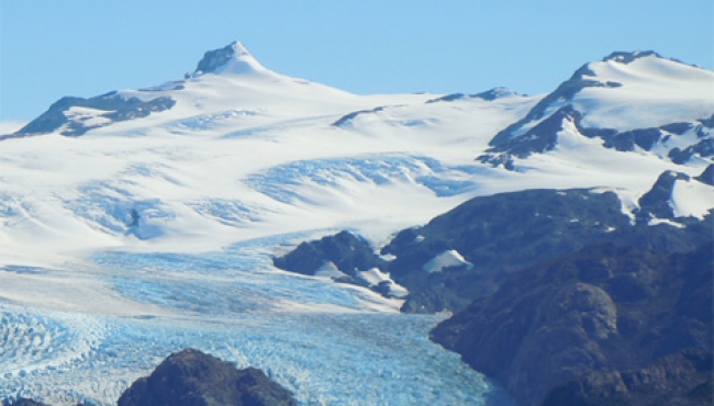 Científicos encuentran pájaro preservado en el hielo glaciar de Noruega