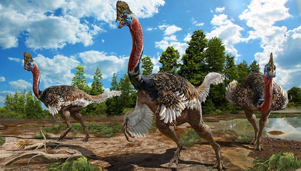 Descubren nueva especie de dinosaurio