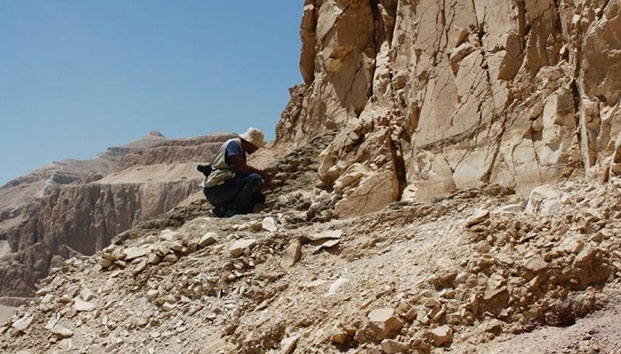 Mueren cinco en excavaciones ilegales en Egipto