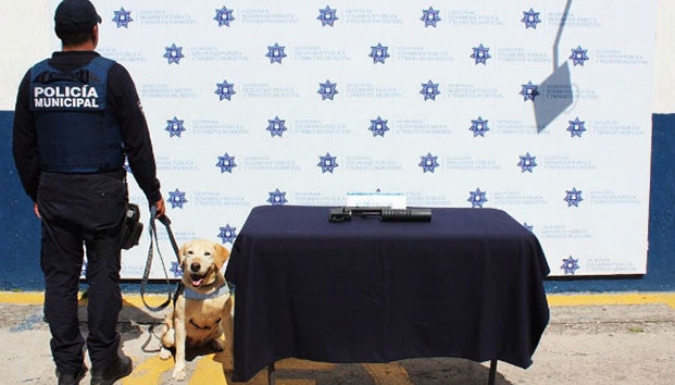 Detectan lanzagranadas en empresa de paquetería