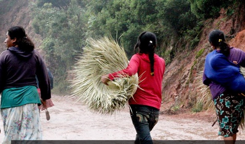 Venden niñas hasta por 200 mil pesos en comunidades de Guerrero