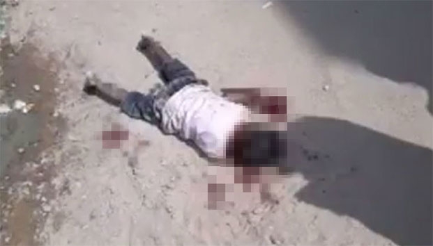 Niño de 4 años muere al ser atacado por 17 perros