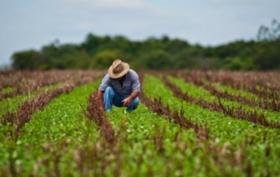 Capítulo agropecuario avanza en renegociación del TLCAN