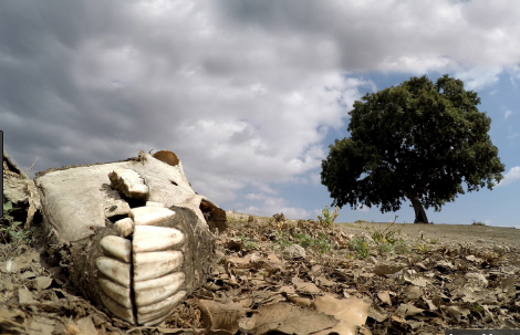 Repunta el hambre en el mundo a causa de conflictos y cambio climático