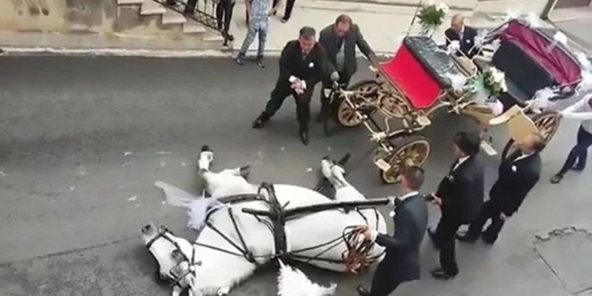 Caballo cansado de llevar un carruaje se desploma en Italia