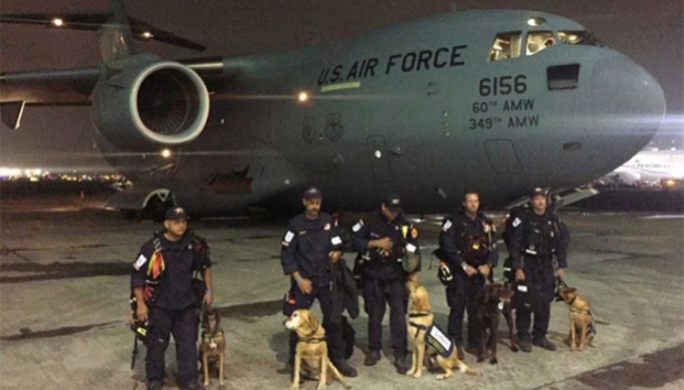Llegan expertos y perros rescatistas de EU a CDMX