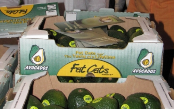 Precio de aguacate se mantiene en 70 pesos por kilo en mercados del país