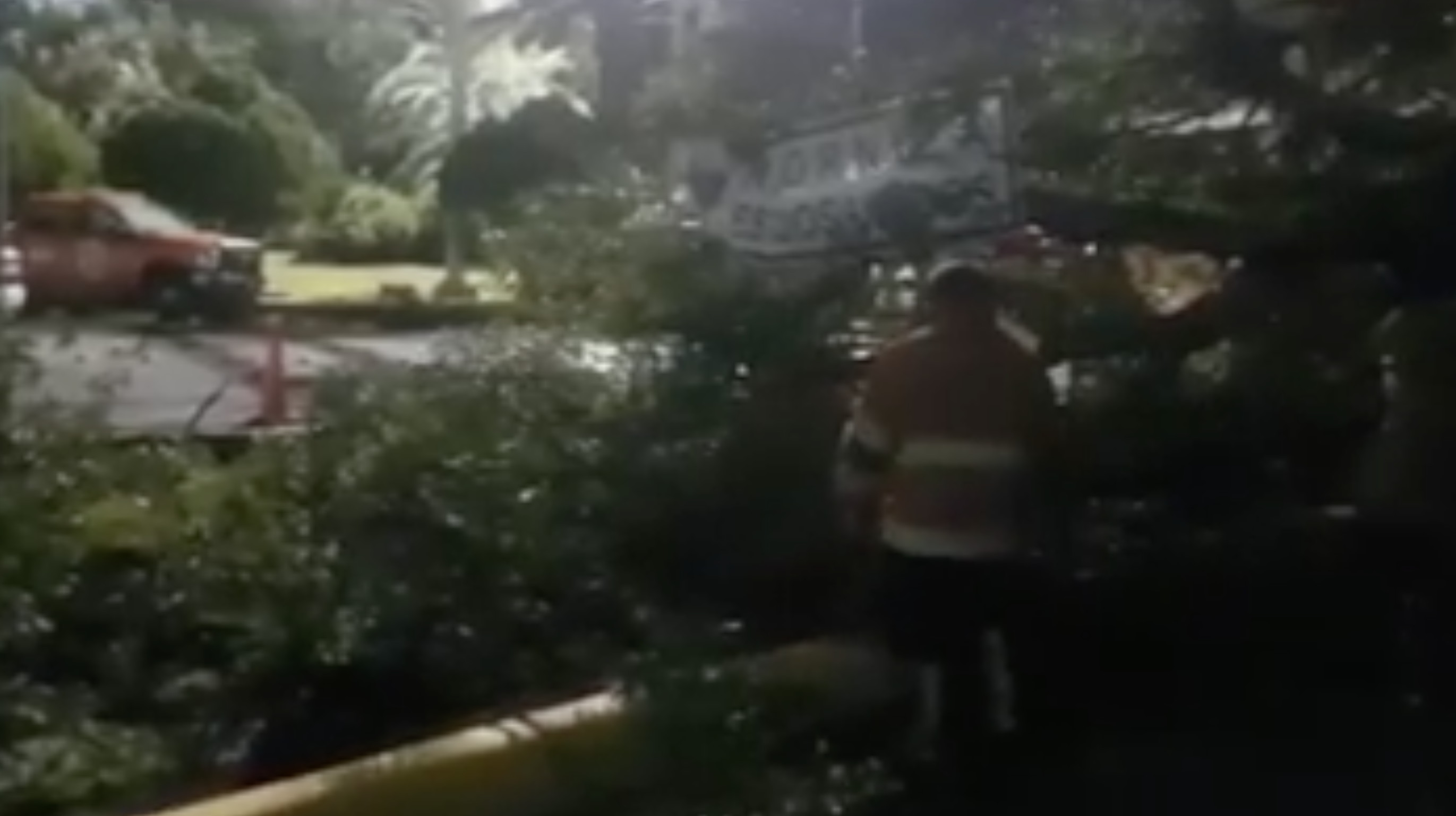 Ventarrón causa daños <br>en Puente Internacional II de PN