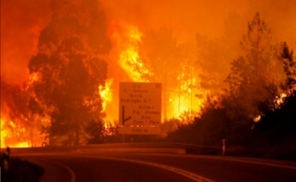 Duelo nacional en Portugal por muertos en incendios forestales