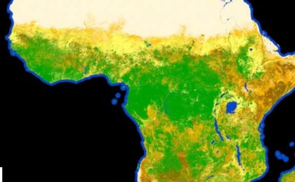 Mapa terrestre en alta resolución mide impacto de cambio climático