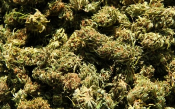 Apoyo a la legalización de la marihuana alcanza nuevo récord en EUA